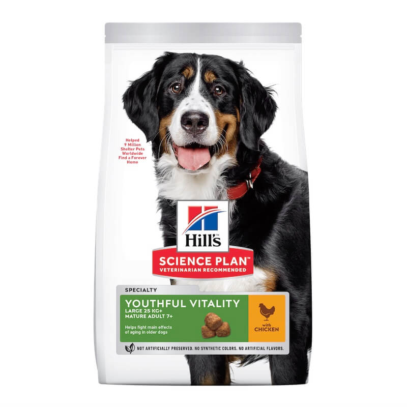 veterinarian recommended dog food 2020