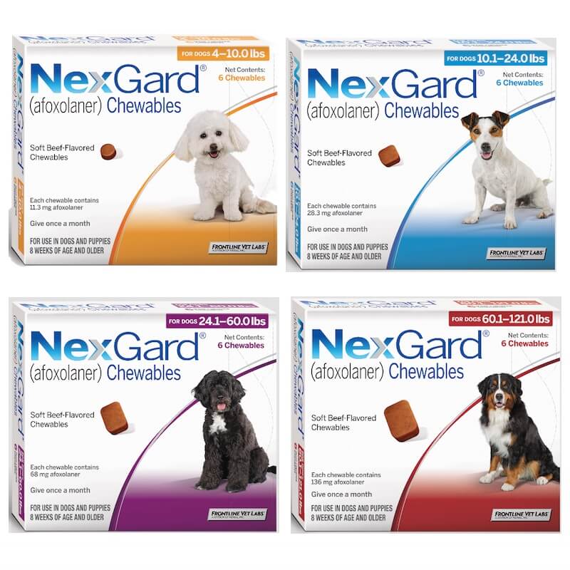 nexgard safe for pregnant dogs - carpentierroegner-99