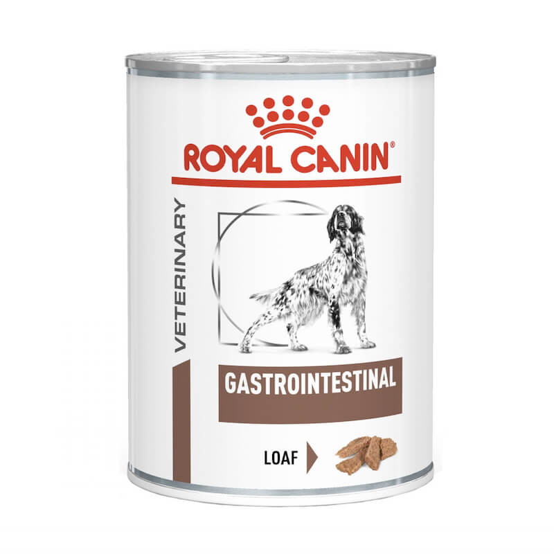 Broers en zussen behuizing Adelaide Royal Canin Canine – Gastro Intestinal – Can 200g – Knysna Veterinary Clinic