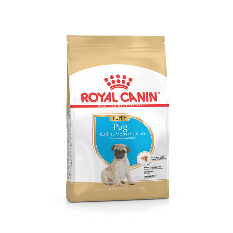 royal canin pug dry dog food