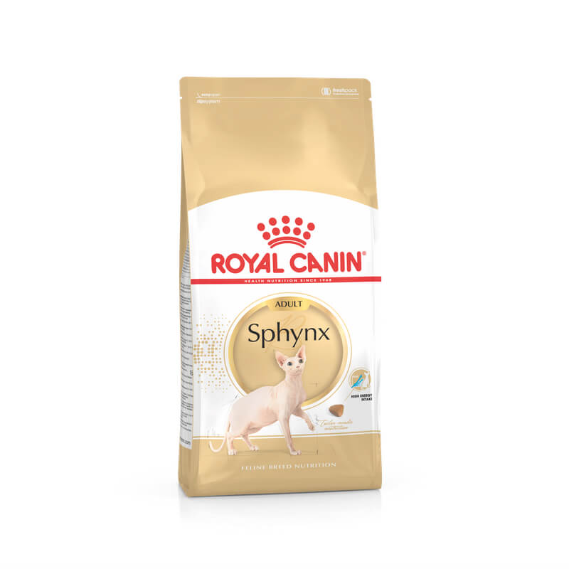 royal canin kitten sphynx