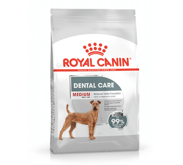 royal canin dental care medium